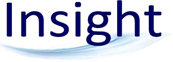 Insight Logo